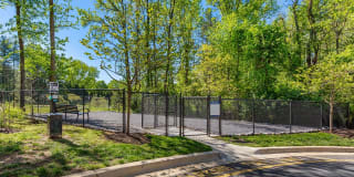 The James Gallery 24