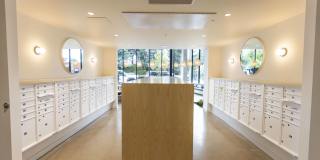 Brookland Apartments Gallery 26