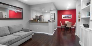 Spacious 1 Bedroom, 1 Bathroom Condo Available NOW in Quail Hill! Spacious 1 Bedroom, 1 Bathroom Condo Available NOW in Quail Hill! Gallery 1