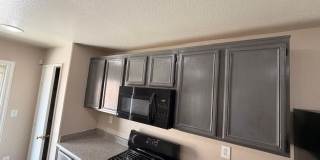 3208 BRAYTON MIST Drive Gallery 11