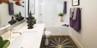 Cypress at Trinity Groves Gallery 15