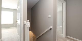 8306 Hornwood Court Gallery 17