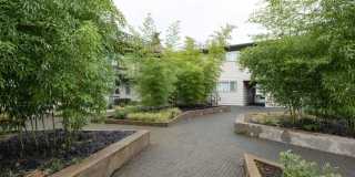 Uptown Lake Oswego Gallery 13