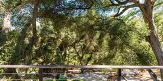 1149 Old Topanga Canyon Rd Gallery 4