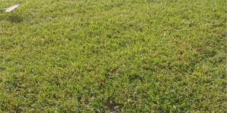 9082 Plymouth Place unit: 9082 Gallery 38