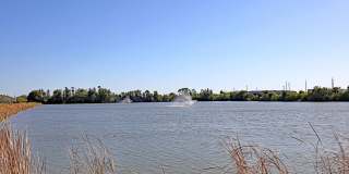 AVAILABLE NOW BRAND NEW!! Gallery 26