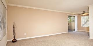 Elán Solana Pointe Gallery 15