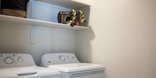 Acero at the Stadium Gallery 11