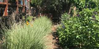 3+ Bedroom Custom Eastside Home Gallery 24