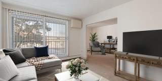 Park Plaza Apartments Gallery 5