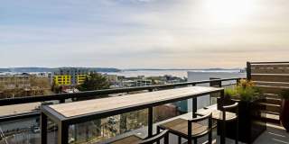110 Roy Gallery 42