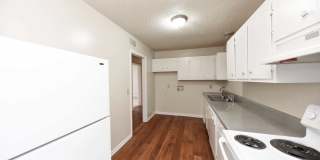 Noah's Landing Gallery 3