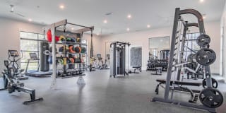 The Heron at River Island Gallery 8