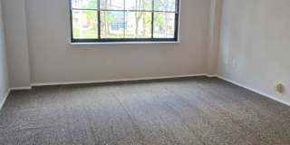 The Towers- Akron Gallery 7