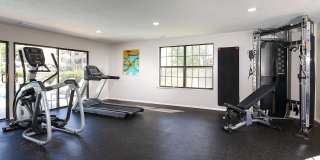 Stonecliffe Gallery 19