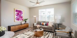 August Friendswood Gallery 31