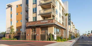 770 South Harbor Gallery 25