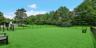 TGM Meadow View Gallery 80