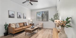 Emory Old Town Gallery 4