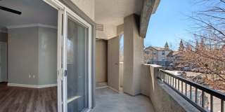 Broadleaf Apartments Gallery 98