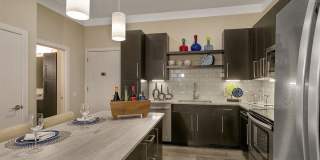 Aster Apartments Gallery 40