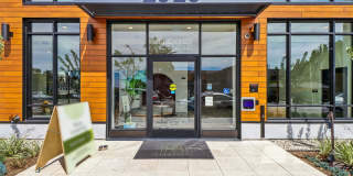 Treehouse Gallery 36