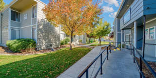 The Meadows Gallery 3