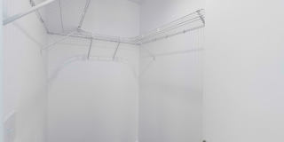 Buena Vista Gallery 20