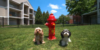 Crossings at Hazelwood Gallery 25