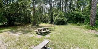 10964 BACALL Road W Gallery 18