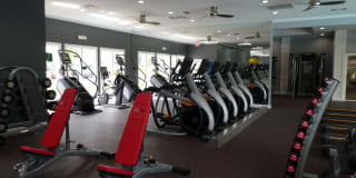 TGM Odenton Gallery 11