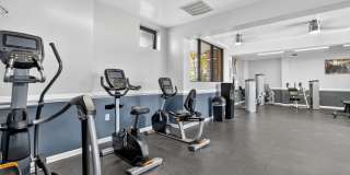 The Cloisters Gallery 57