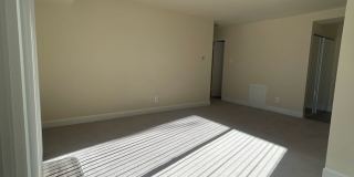 Northgate Gallery 296