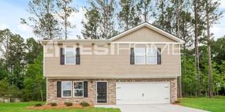 205 Chimney Ridge Lane Gallery 1