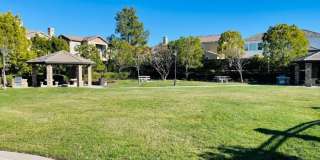 31919 Bitterroot Court Gallery 66