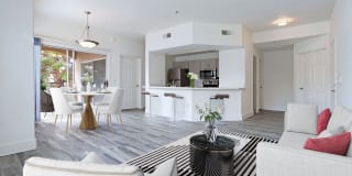 San Marino Gallery 24