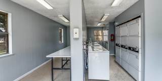 Woodlyn Gallery 22