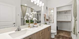 Amavida Marana Gallery 8