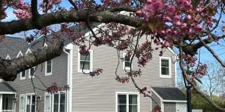 16 Mussey Street Gallery 1