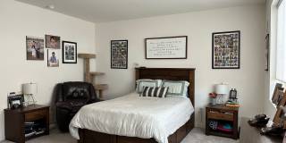 PET FRIENDLY Gallery 9