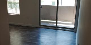 San Jacinto Gallery 9