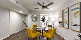 The Nelson Gallery 7