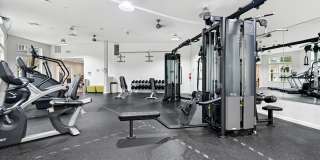 Orchard Park Gallery 26