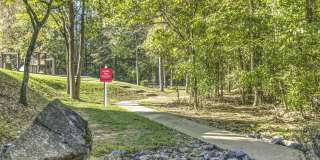 Affordable Housing - Elan at Mallard Creek Apartment Homes Gallery 20