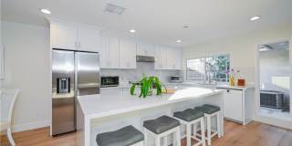 15 Camphor S Gallery 14