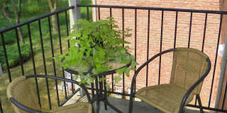 Ivy Knoll Gallery 51
