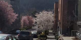 Cathedral Park Apartments Gallery 42