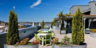 AMLI 535 AMLI 535 Gallery 17