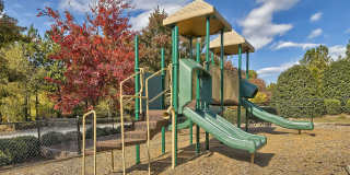 Lullwater at Saluda Pointe Gallery 47