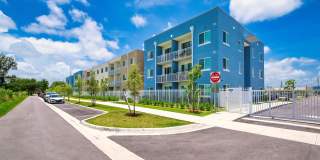 Pine Groves Gallery 37